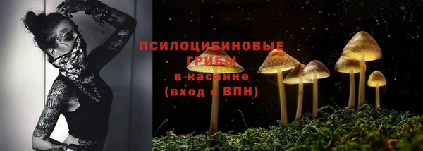 дурь Белая Холуница